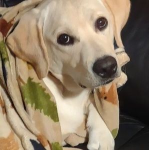 Meet your Posher, Sally